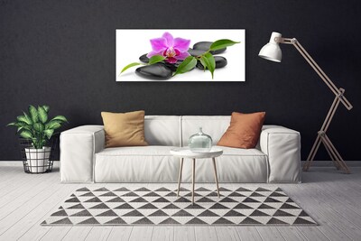 Quadro em tela Arte de orquídeas florais