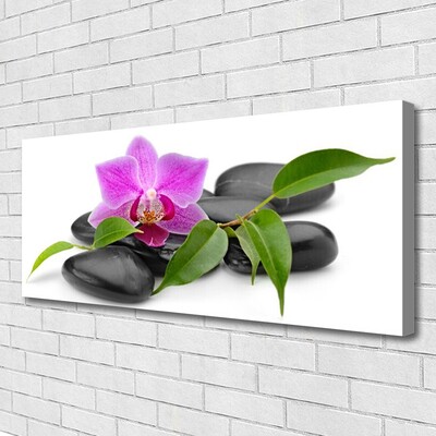 Quadro em tela Arte de orquídeas florais