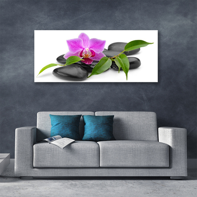 Quadro em tela Arte de orquídeas florais