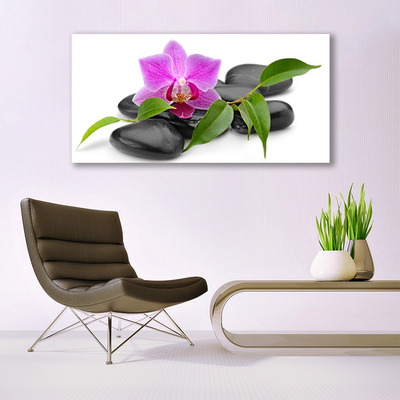 Quadro em tela Arte de orquídeas florais
