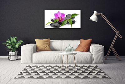 Quadro em tela Arte de orquídeas florais