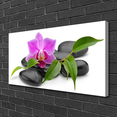 Quadro em tela Arte de orquídeas florais