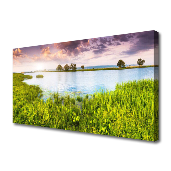 Quadro em tela Natureza do Lago Grass