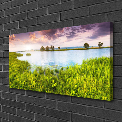 Quadro em tela Natureza do Lago Grass