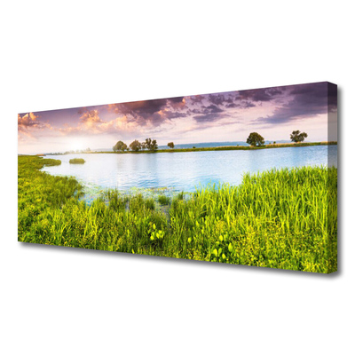 Quadro em tela Natureza do Lago Grass