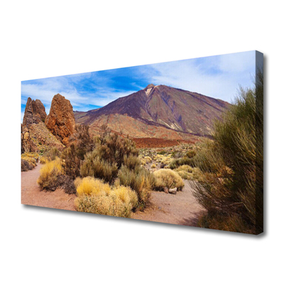Quadro em tela Montanhas Plantas Rochas Paisagem