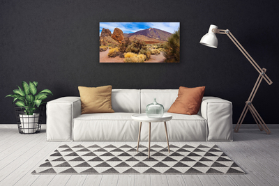 Quadro em tela Montanhas Plantas Rochas Paisagem