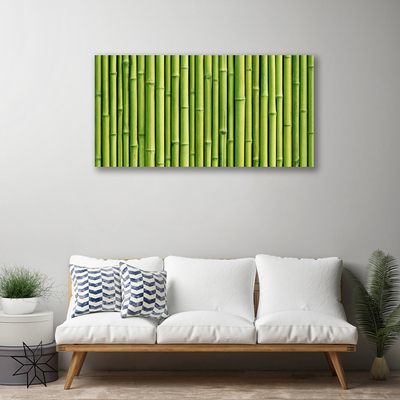 Quadro em tela Natureza da planta de bambu