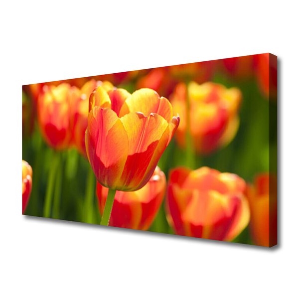 Quadro em tela Tulipas Flores Planta
