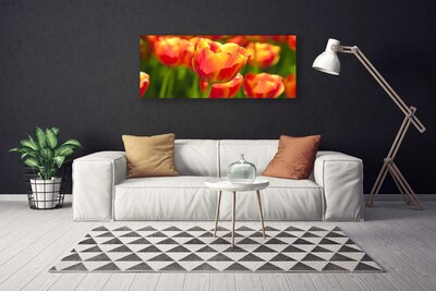 Quadro em tela Tulipas Flores Planta
