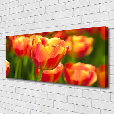Quadro em tela Tulipas Flores Planta