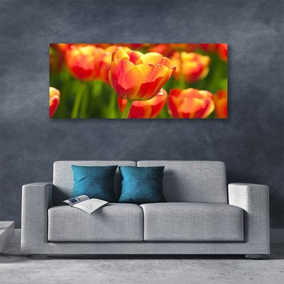 Quadro em tela Tulipas Flores Planta