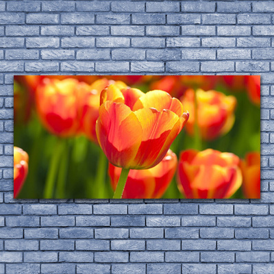 Quadro em tela Tulipas Flores Planta