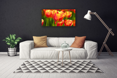 Quadro em tela Tulipas Flores Planta