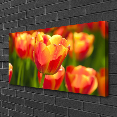 Quadro em tela Tulipas Flores Planta