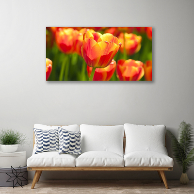 Quadro em tela Tulipas Flores Planta
