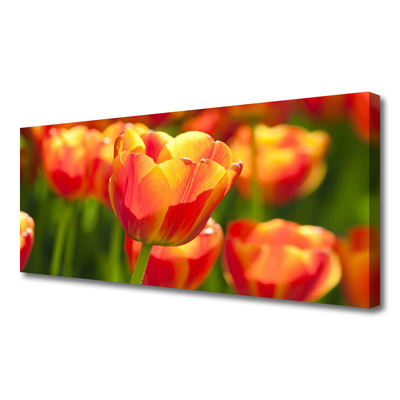 Quadro em tela Tulipas Flores Planta