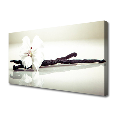 Quadro canvas Flor Planta Natureza