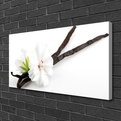 Quadro em tela Flor Planta Natureza