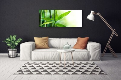 Quadro em tela Planta de folha de bambu Natureza