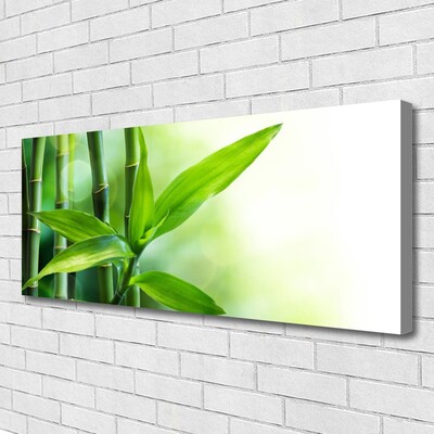 Quadro em tela Planta de folha de bambu Natureza