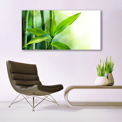 Quadro em tela Planta de folha de bambu Natureza