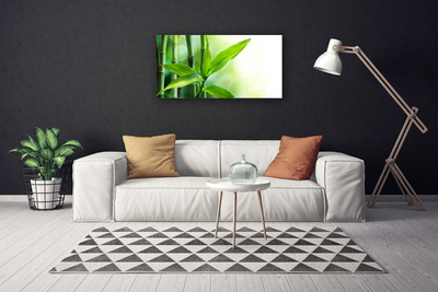 Quadro em tela Planta de folha de bambu Natureza