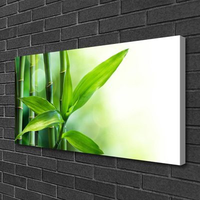Quadro em tela Planta de folha de bambu Natureza