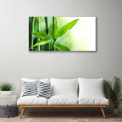Quadro em tela Planta de folha de bambu Natureza