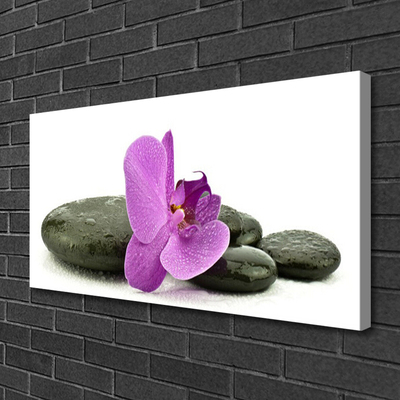 Quadro em tela Orquídea Flor