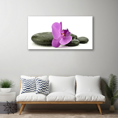 Quadro em tela Orquídea Flor