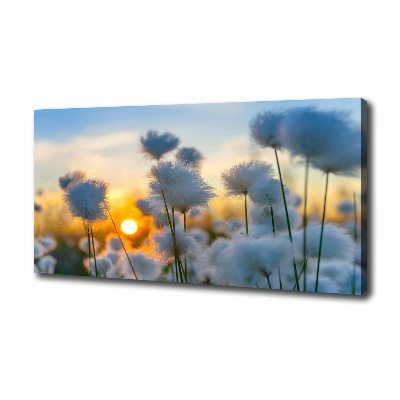 Quadro em tela Flores Planta Natureza