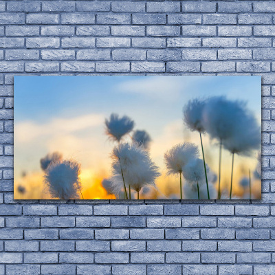 Quadro em tela Flores Planta Natureza