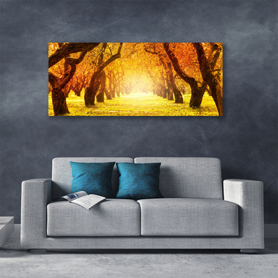 Quadro canvas Caminho da Floresta Árvores Natureza