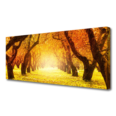 Quadro canvas Caminho da Floresta Árvores Natureza