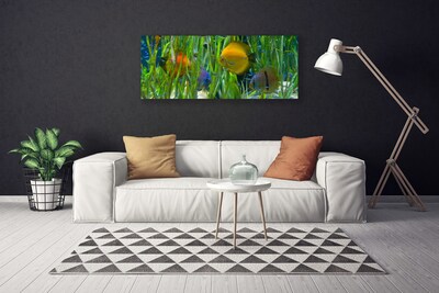 Quadro em tela Peixes Algas Marinhas Natureza