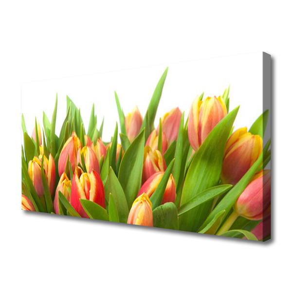 Quadro em tela Tulipas Flores Planta