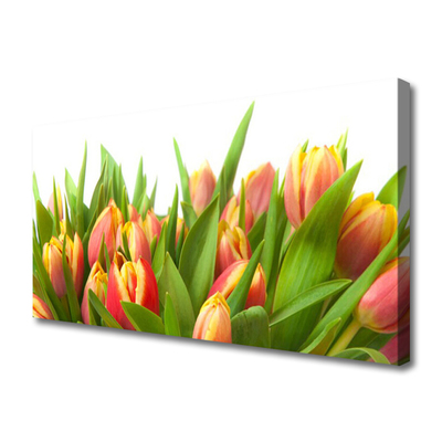 Quadro em tela Tulipas Flores Planta