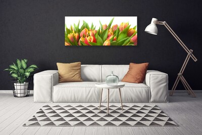 Quadro em tela Tulipas Flores Planta