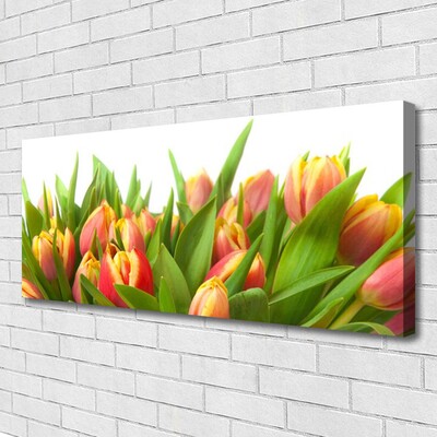 Quadro em tela Tulipas Flores Planta