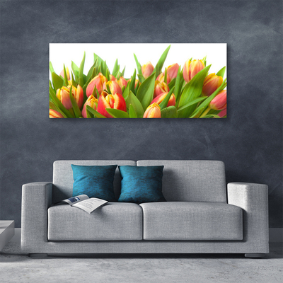 Quadro em tela Tulipas Flores Planta