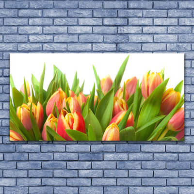 Quadro em tela Tulipas Flores Planta