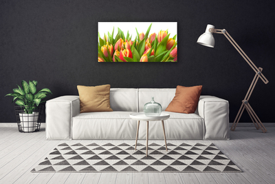 Quadro em tela Tulipas Flores Planta