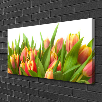 Quadro em tela Tulipas Flores Planta