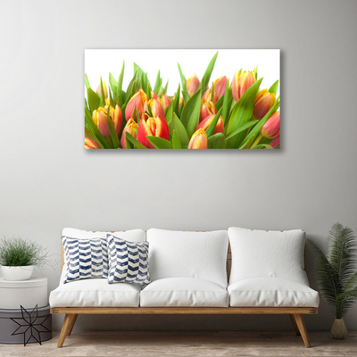 Quadro em tela Tulipas Flores Planta