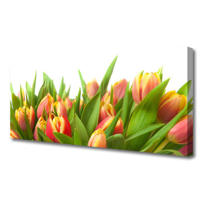 Quadro em tela Tulipas Flores Planta