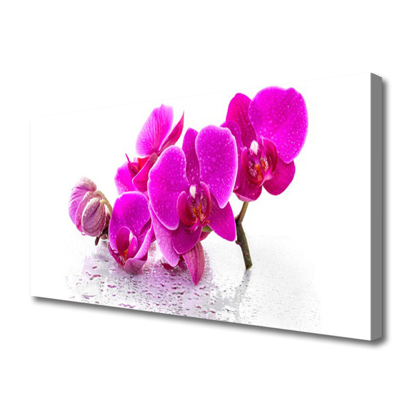 Quadro canvas Flores Planta Natureza