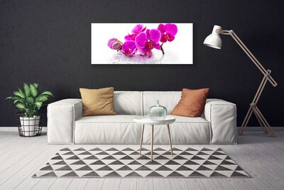 Quadro canvas Flores Planta Natureza