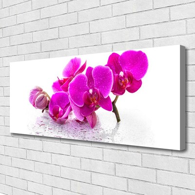 Quadro canvas Flores Planta Natureza