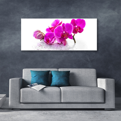 Quadro canvas Flores Planta Natureza